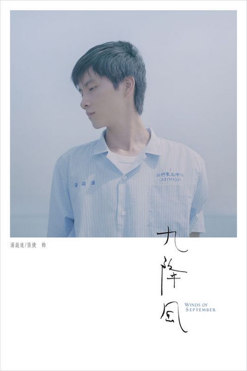 学士学位证书丢了编号查不到咋办